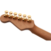 Charvel Pro-Mod DK24 HSH 2PT CM Mahogany Caramelized Maple Fingerboard Natural